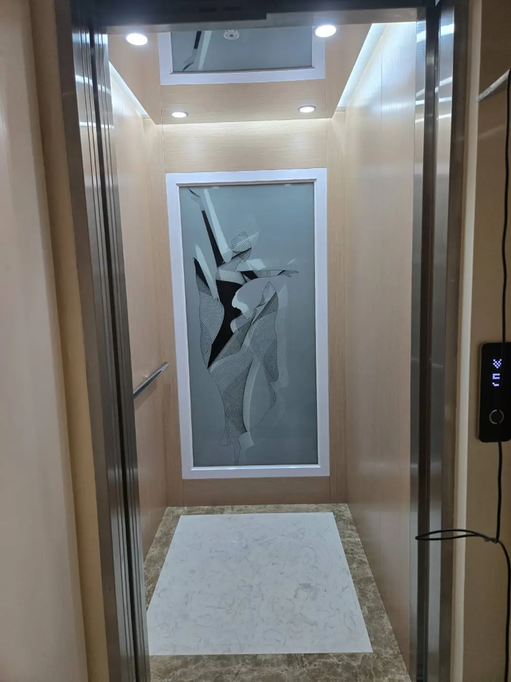 桃園龜山｜家用梯